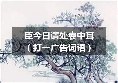 臣今日请处囊中耳（打一广告词语）