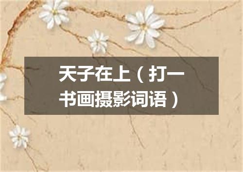 天子在上（打一书画摄影词语）