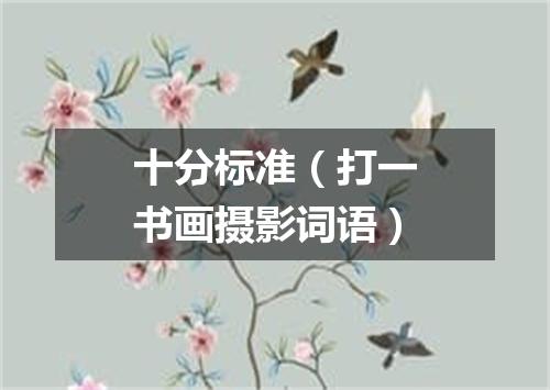 十分标准（打一书画摄影词语）