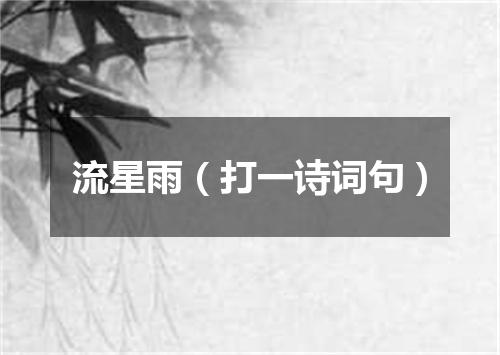 流星雨（打一诗词句）