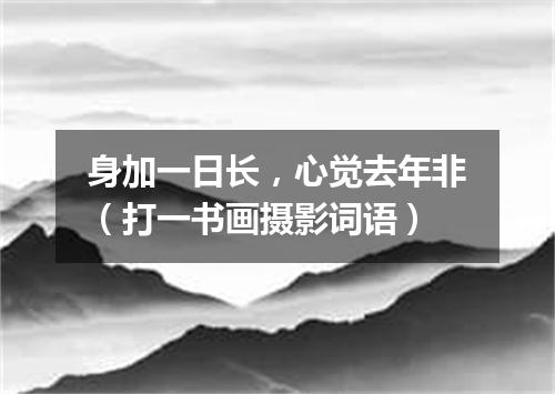 身加一日长，心觉去年非（打一书画摄影词语）