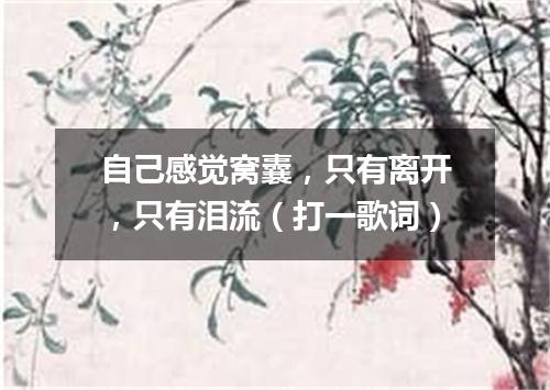 自己感觉窝囊，只有离开，只有泪流（打一歌词）