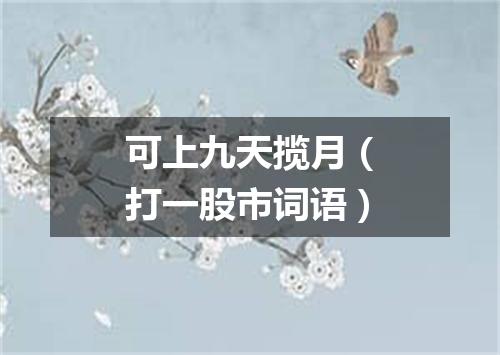 可上九天揽月（打一股市词语）