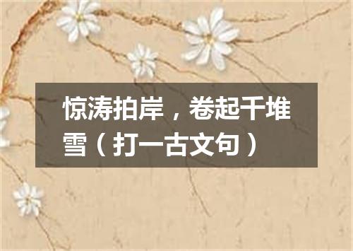 惊涛拍岸，卷起千堆雪（打一古文句）