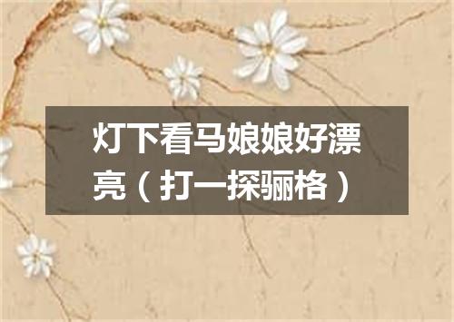 灯下看马娘娘好漂亮（打一探骊格）