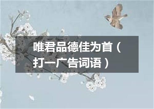 唯君品德佳为首（打一广告词语）
