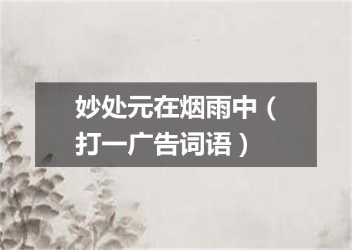 妙处元在烟雨中（打一广告词语）