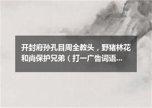 开封府孙孔目周全教头，野猪林花和尚保护兄弟（打一广告词语）