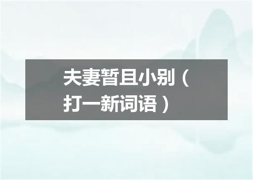 夫妻暂且小别（打一新词语）