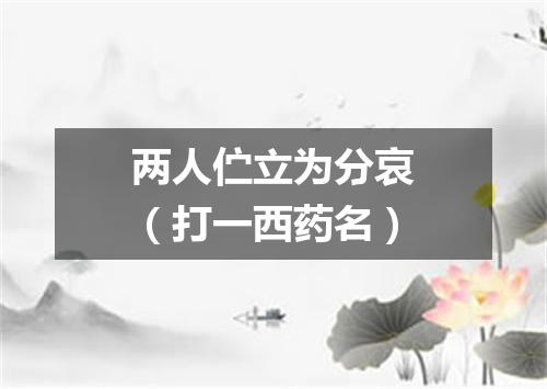 两人伫立为分哀（打一西药名）