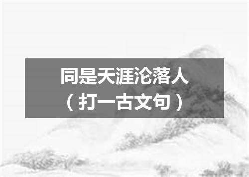 同是天涯沦落人（打一古文句）