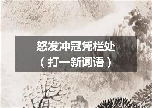 怒发冲冠凭栏处（打一新词语）