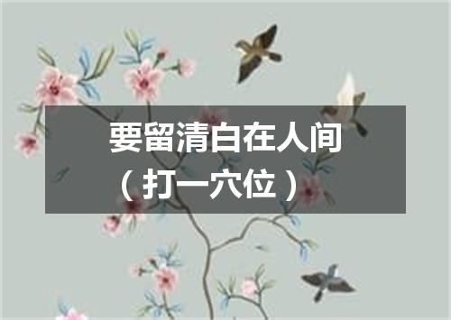 要留清白在人间（打一穴位）