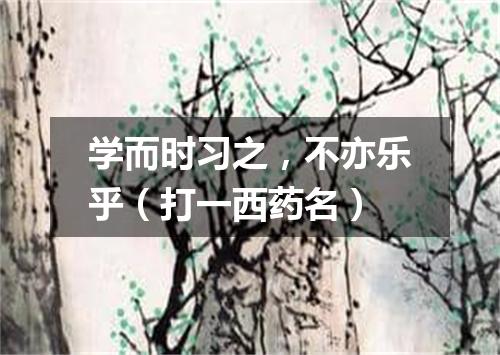 学而时习之，不亦乐乎（打一西药名）