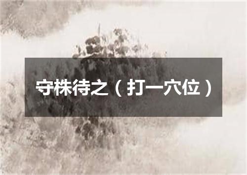 守株待之（打一穴位）