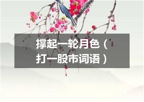 撑起一轮月色（打一股市词语）