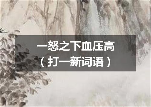 一怒之下血压高（打一新词语）