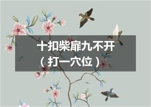 十扣柴扉九不开（打一穴位）
