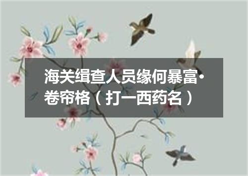 海关缉查人员缘何暴富·卷帘格（打一西药名）