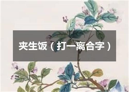 夹生饭（打一离合字）