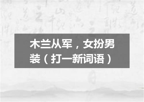 木兰从军，女扮男装（打一新词语）
