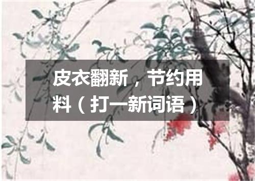 皮衣翻新，节约用料（打一新词语）