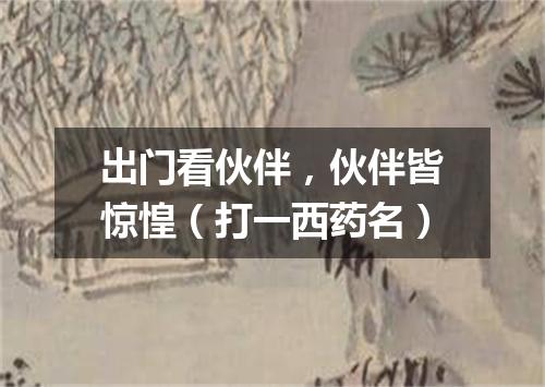 出门看伙伴，伙伴皆惊惶（打一西药名）