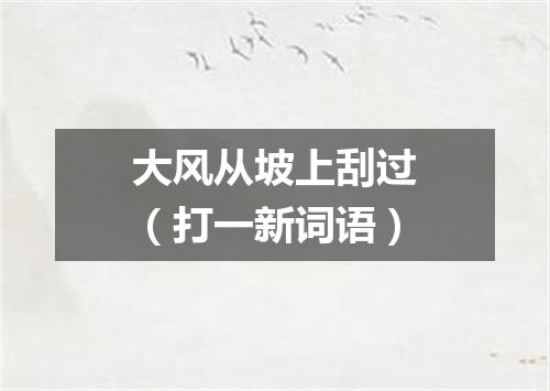 大风从坡上刮过（打一新词语）
