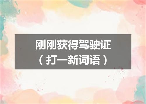 刚刚获得驾驶证（打一新词语）