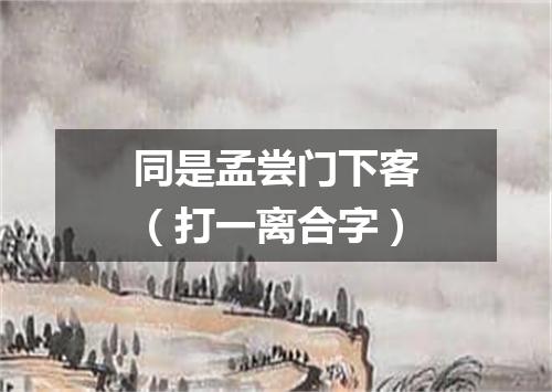 同是孟尝门下客（打一离合字）