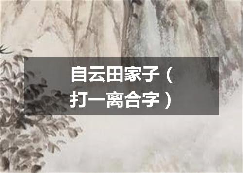 自云田家子（打一离合字）