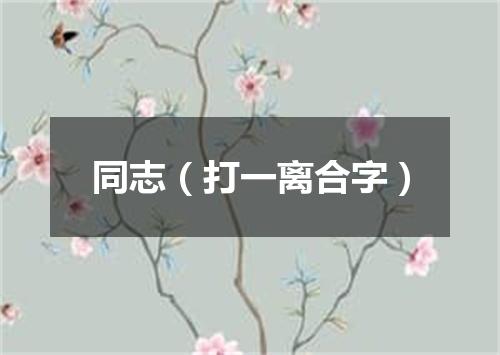 同志（打一离合字）