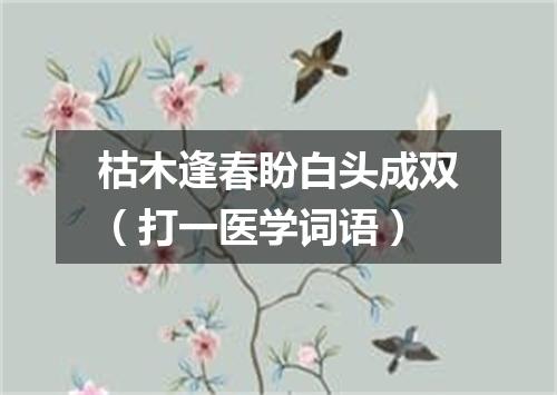 枯木逢春盼白头成双（打一医学词语）