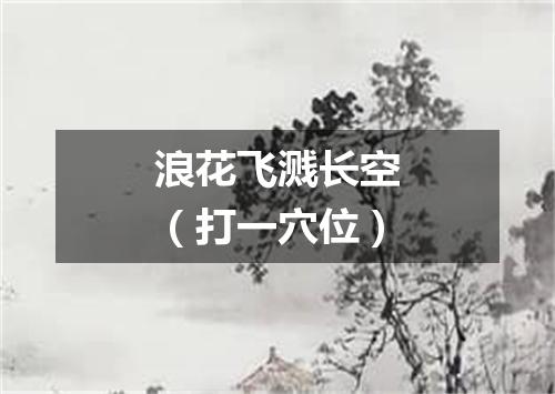 浪花飞溅长空（打一穴位）