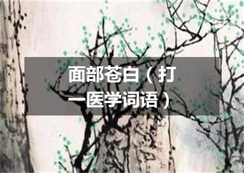 面部苍白（打一医学词语）