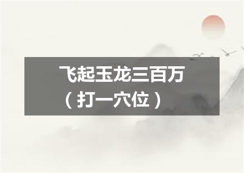 飞起玉龙三百万（打一穴位）