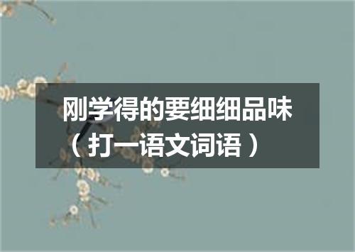 刚学得的要细细品味（打一语文词语）