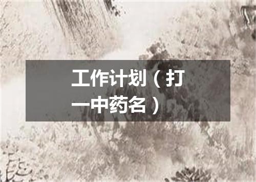 工作计划（打一中药名）