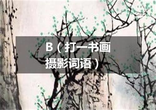 B（打一书画摄影词语）