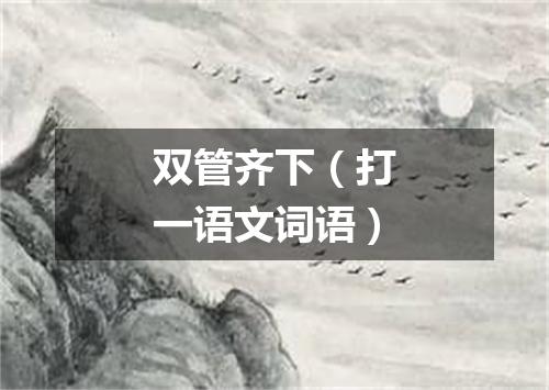 双管齐下（打一语文词语）