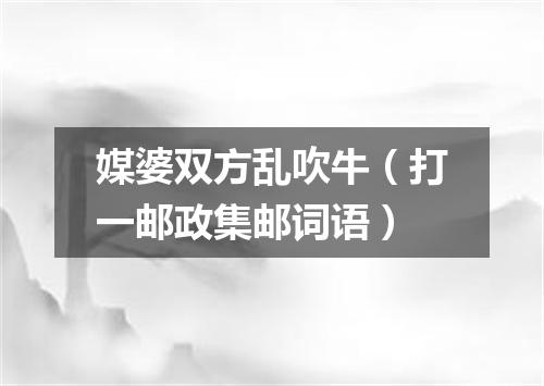 媒婆双方乱吹牛（打一邮政集邮词语）