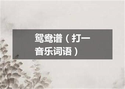 鸳鸯谱（打一音乐词语）