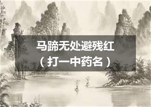 马蹄无处避残红（打一中药名）