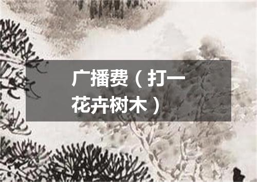 广播费（打一花卉树木）