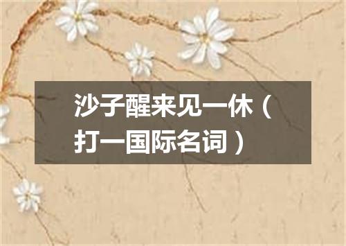 沙子醒来见一休（打一国际名词）