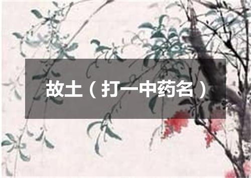 故土（打一中药名）
