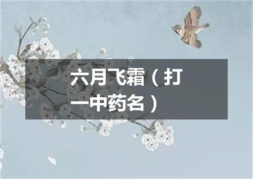 六月飞霜（打一中药名）