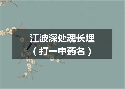 江波深处魂长埋（打一中药名）