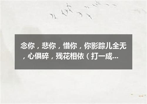 念你，悲你，惜你，你影踪儿全无，心俱碎，残花相依（打一成语）
