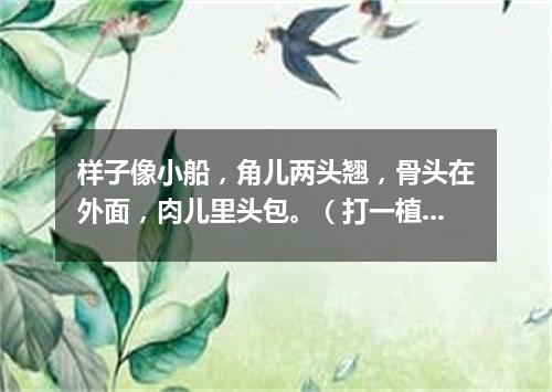 样子像小船，角儿两头翘，骨头在外面，肉儿里头包。（打一植物）